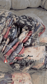 عرض خاص 🔥 عرض خاص 🔥 تراك فرو نسائي فري سايز  #سعر_القطعة_٤٠٠٠_فقط 🔥 بل...