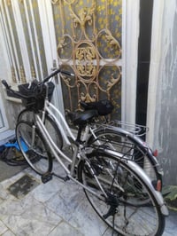 بايسكلات ياباني • فول شرط • بابل السده الهنديه