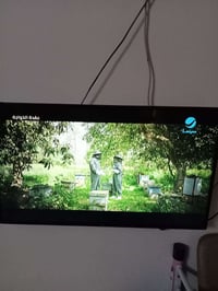 بلازما • ٤٣ بوصة • نظيفة