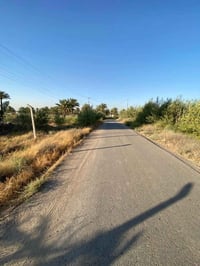 نصف دوانم 1250 م 🌳طابو زرعي سند 25✅  📍الدورة بدايه  عرب جبور  الزنبران...