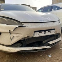 بي وايدي سيل5 • ٢٠٢٥ • ضرب حيوان