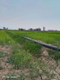 عشره تل عثمان • ٦ دونم • كافة الخدمات