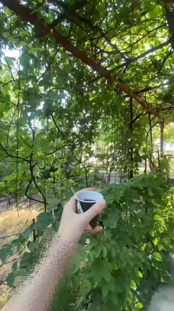 نبات الهيل ☘️#نباتات


**إذا كنت صاحب هذا الإعلان وتريد حذفه لأي سبب، رجاءا أرسل رسالة إلى الدعم الفني**