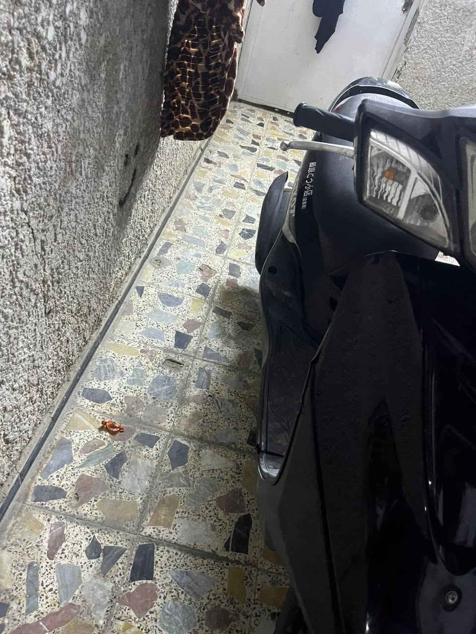 دراجه بريز بغبغاء نوزل المكان مدينه الصدر رقم ***********
