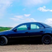 اوپل نفخ • ١٩٩٥ • بدون صبغ