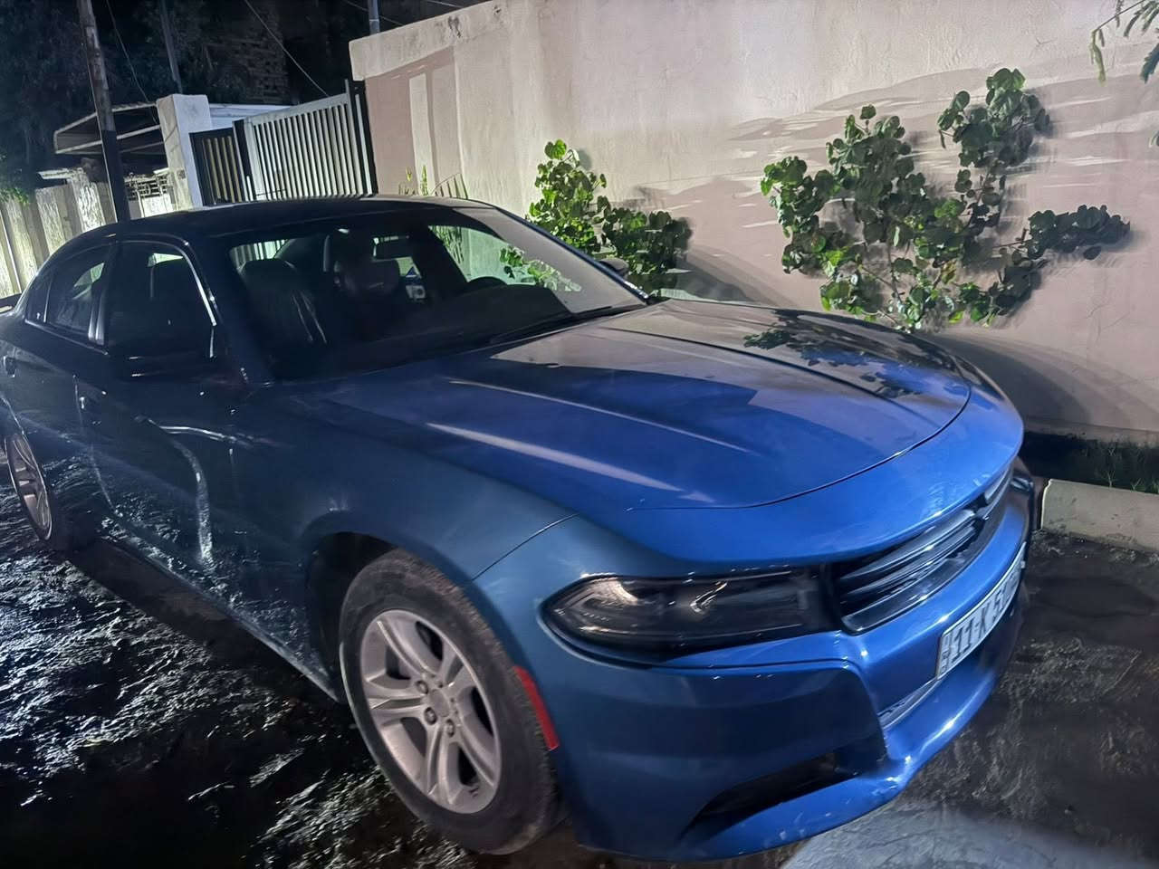 ( مكلف بلنشر ) 
جارجر 2023 وارد امريكي حادث موضح فقط ربع باب ومرشوشه فقط بدون اي ضرر ثاني وبدون ايرباك جاهزه مكينه كير حداديه ماشيه 43 السيار رقم بغداد بأسم راعيه الشرعي مكانه حله نادر الثانيه 
*********** 💚
