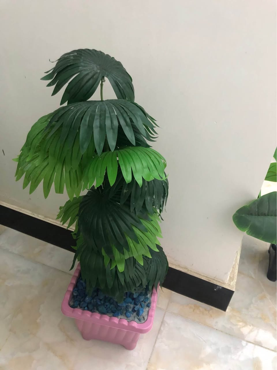 نبات صناعيه بغداد, العراق


**إذا كنت صاحب هذا الإعلان وتريد حذفه لأي سبب، رجاءا أرسل رسالة إلى الدعم الفني**