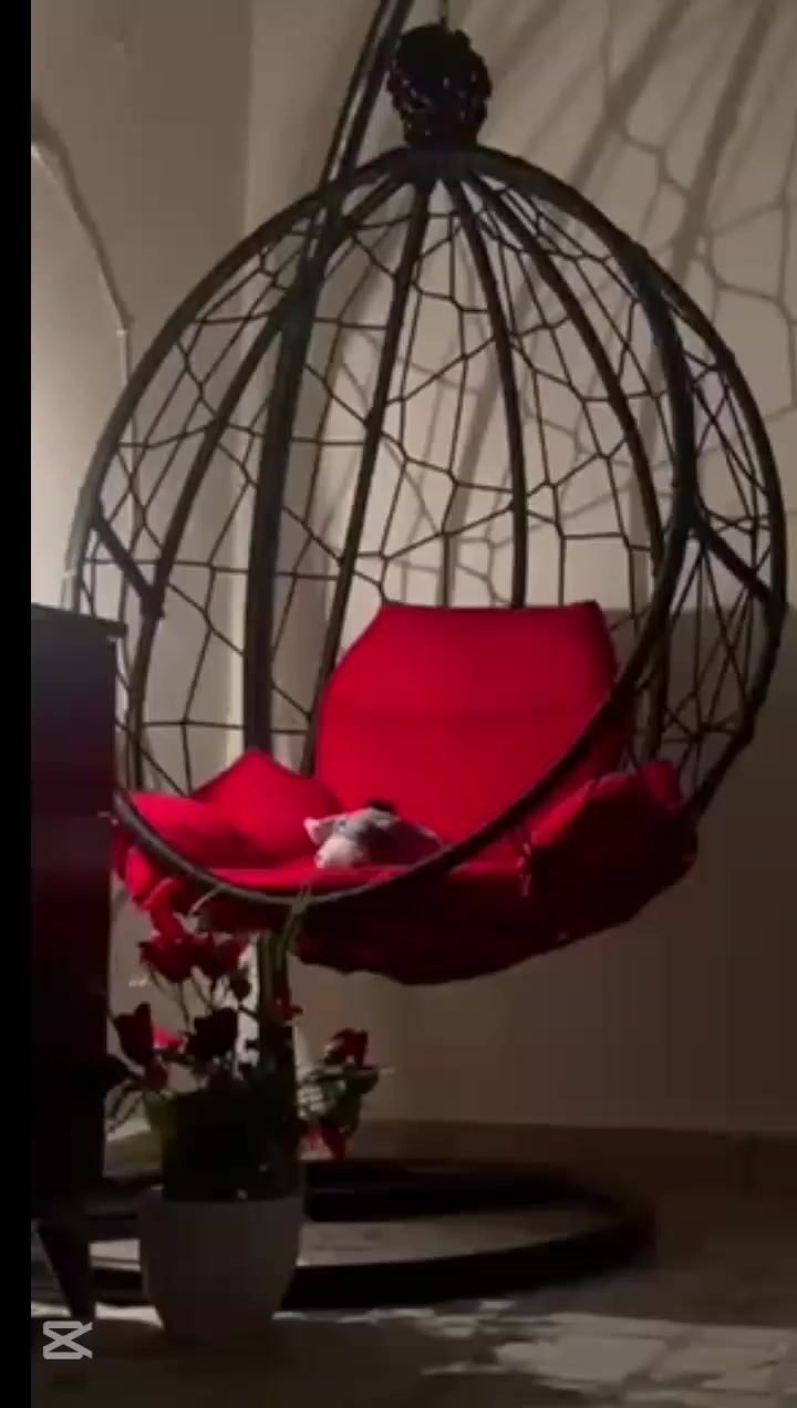 مرجوحه ب٩٠ ماصار شهر من اخذتها ب١٠٠


**إذا كنت صاحب هذا الإعلان وتريد حذفه لأي سبب، رجاءا أرسل رسالة إلى الدعم الفني**