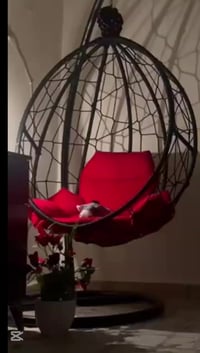 مرجوحه • استعمال قليل