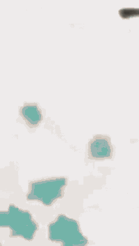 ماكس عدلة نضيفة نضافة 100/100 بوشة 49 الدراجة بلادية من الطول للطول بس بيها كلج امامي تزويد او الصالنصة تجارية فقط الدراجة خير من الله ولا موكفتني بشارع الرقم ***********
