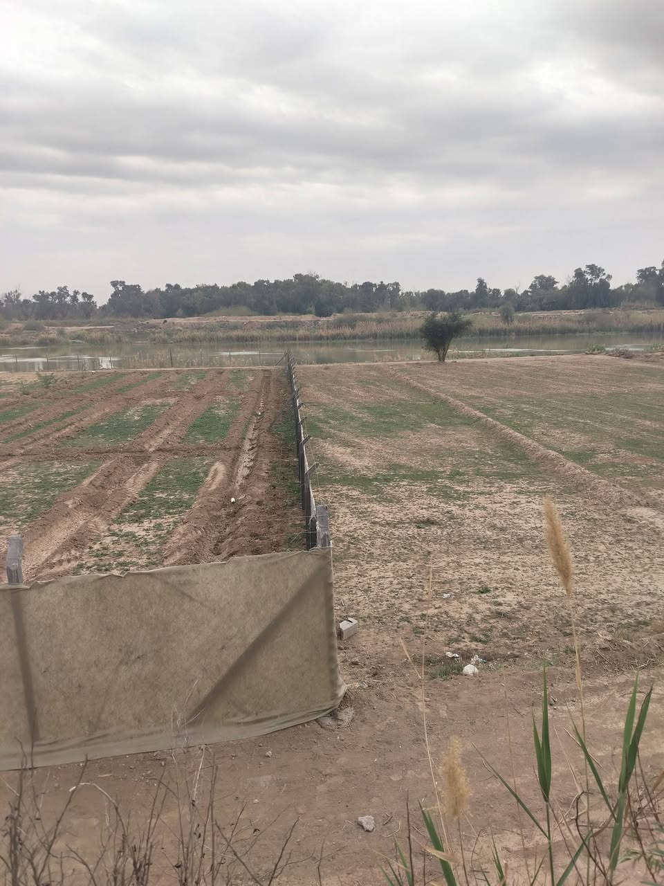 دونم عقد زراعي واحد فقط على الشط واجهه الأرض ٣٨ متر في واسط حي الحكيم قرب المجسر الميناء ومتوفر فيها كهرباء السعر ٣٨ ترهم حقول دجاج ترهم حقول عجول وترهم سكن او متنفس الاتصال على صاحب الأرض الحاج ابو عزام الواسطي ***********
