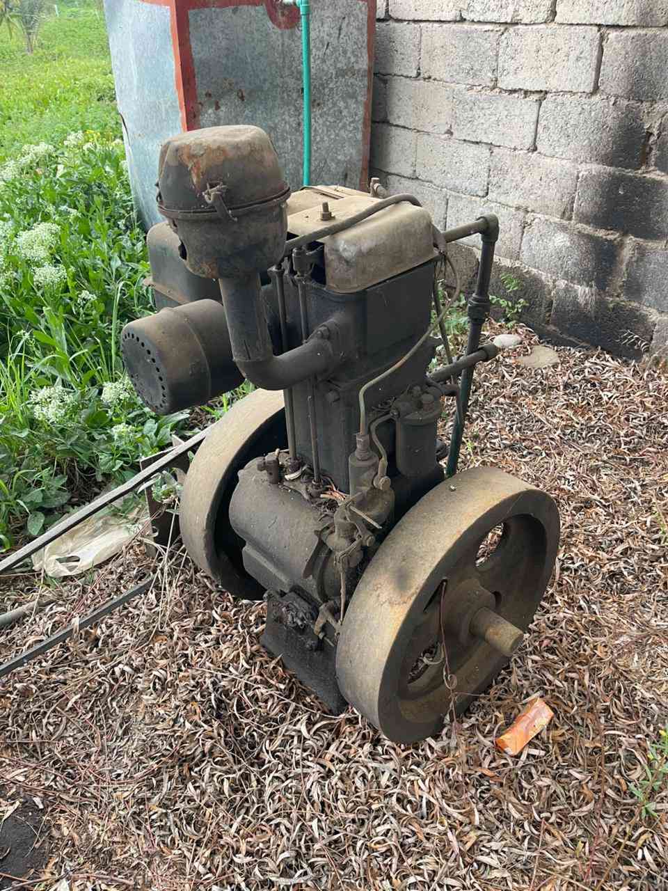 السلام عليكم مكلف بالنشر 
مؤلد 8 احصان هندي للبيع 
ديالى الخالص سعديه الشط الاستفسار ***********
