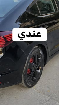 مراوس • حجم ١٦ • تخم تاير