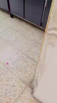 الزعفرانية شارع الكهرباء زراعي مال الشرطة‭٠٧٧٧ ٠٥٧ ٢٤١١‬