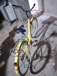 باسكل بطة • عجل ٢٦ • كوفه