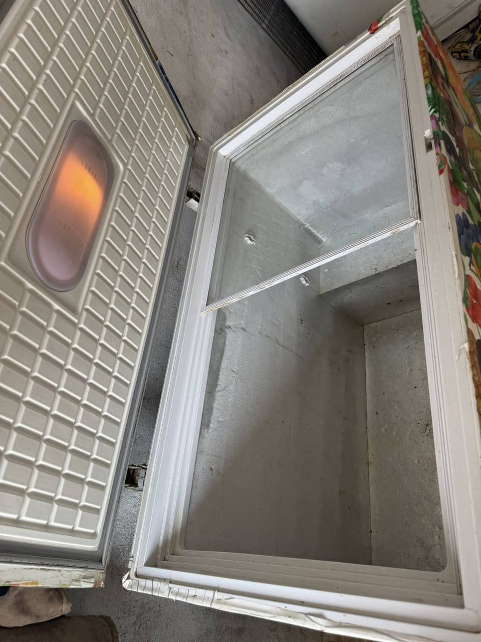 مجمده للبيع حجم كبير شرط التجميد 
الشطره *********** السعر 100 الف
