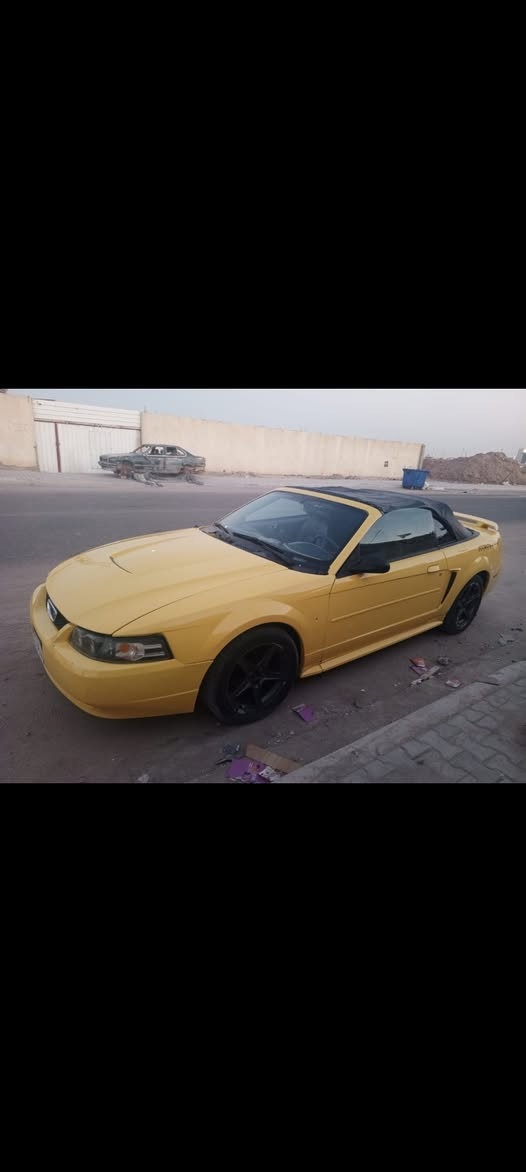 سلام عليكم موستنك جديده كلش كفاله من كلشي سياره كارتون تبريد مكينه كير حداديه تايرات كله جديد سياره احله من صوره بهواي صوت رياضي مكاني بصره رقم وسنويه سليمانيه وهزه سعره 45وبيه مراوس ماكو مشكلة تواصل ع رقم ***********
