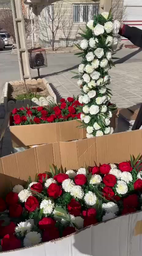 وصلت كميه جديدة امتار من هذا الورد 
الموجود فقط الي بالصوره ابيض فقط و ابيض واحمر  و احمر فقط
توصيل فقط لكل المحافظات ***********
