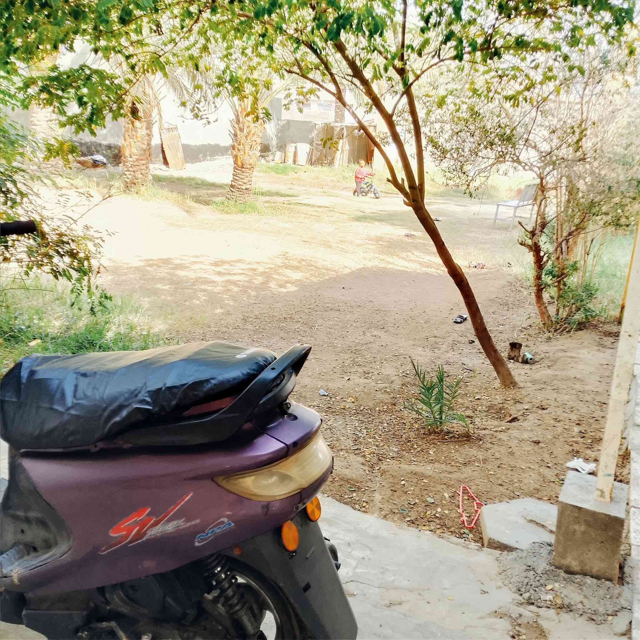 دراجة فراشة نضيفة شلعتها فول كاملة نقصها بس باتري وتشتغل سلف وكهربائيات 
 رايدها ب 275 مكاني طهمازية 
***********
