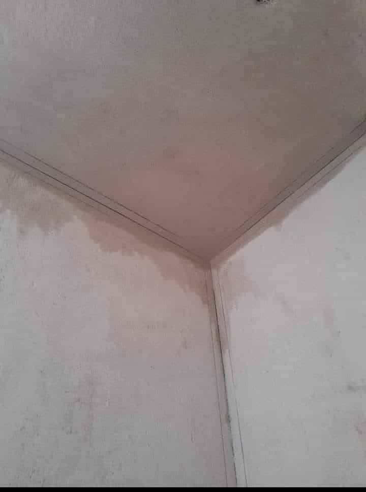 سلام عليكم خلفة جص وبورك وسمنت متفرغ حالين.    ‏‪0786 745 3369‬‏
