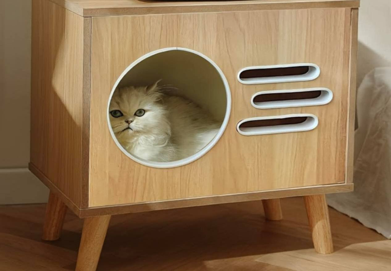 متوفرات خلي سعر وبلعافيه


**إذا كنت صاحب هذا الإعلان وتريد حذفه لأي سبب، رجاءا أرسل رسالة إلى الدعم الفني**