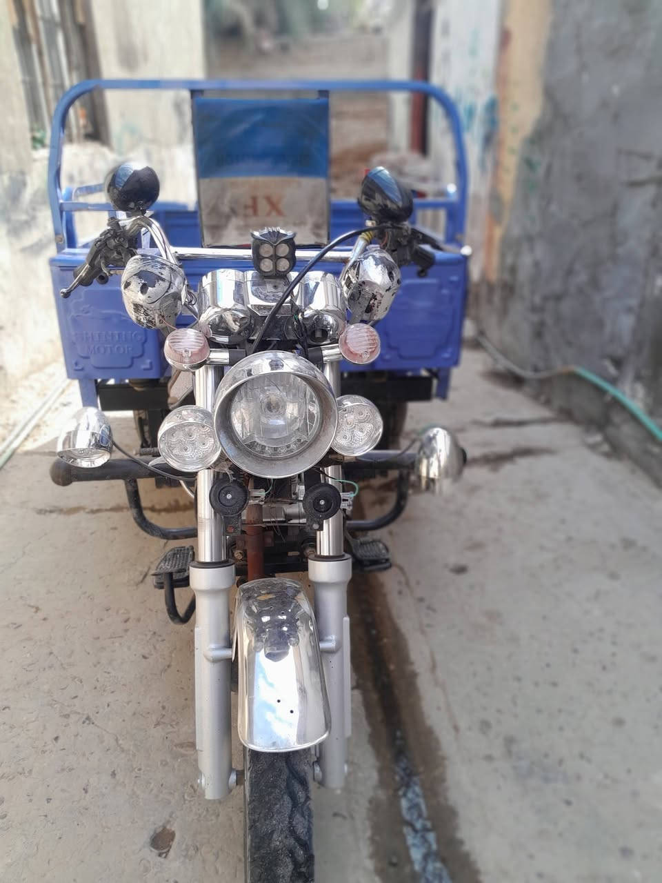 ٢٣ للبيع أوراق مكان سده الهنديه السعر ١٩٠٠ بابل سده الهنديه ***********
