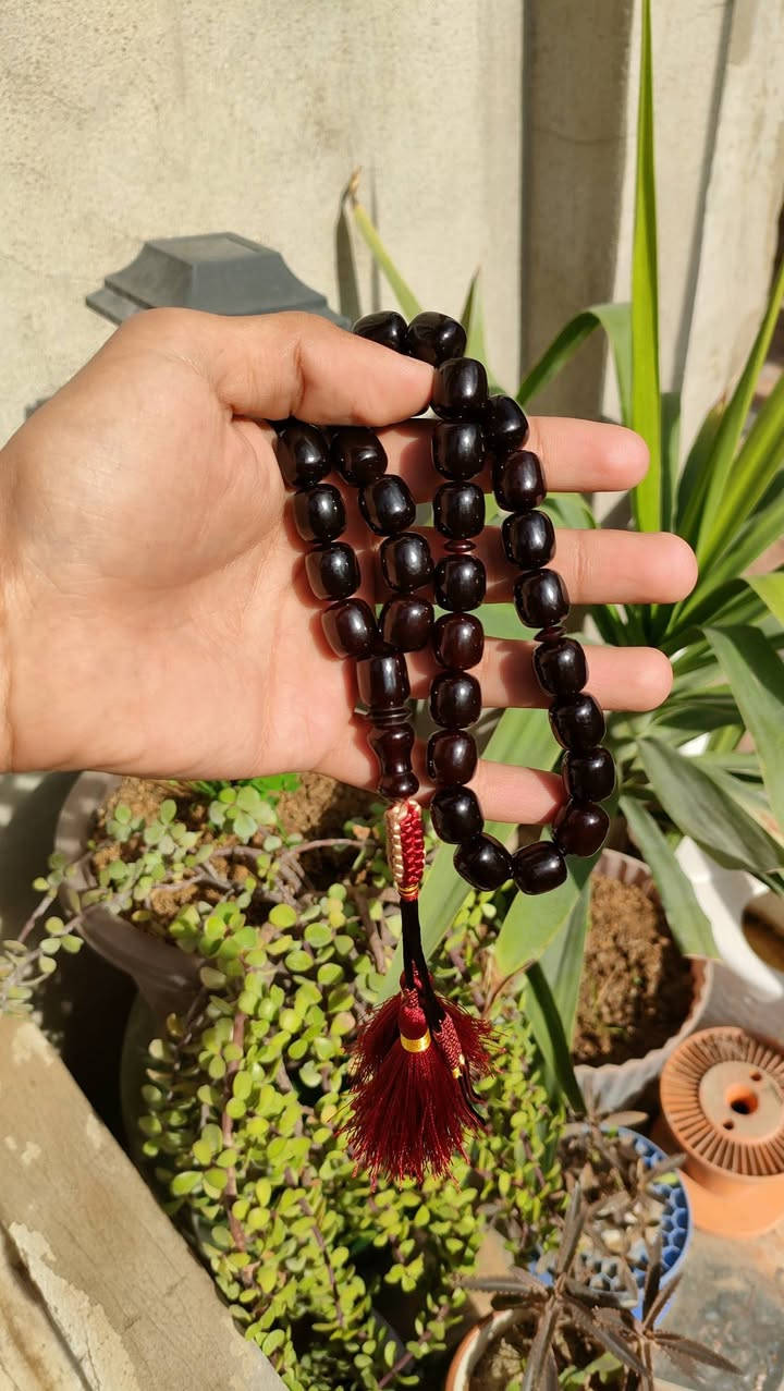 مسبحه بكلايت قديم33خرزه


**إذا كنت صاحب هذا الإعلان وتريد حذفه لأي سبب، رجاءا أرسل رسالة إلى الدعم الفني**