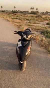 ثعلب • سعر خاص • للبيع