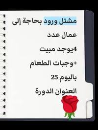 مطعم  بحاجة الى عمال مطبخ غربي خبرة  تطحين كنتاكي ، شوي بركر ، تجهيز ا...