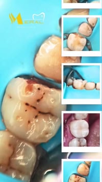 حجز • استفسار • مراسلة الصفحة