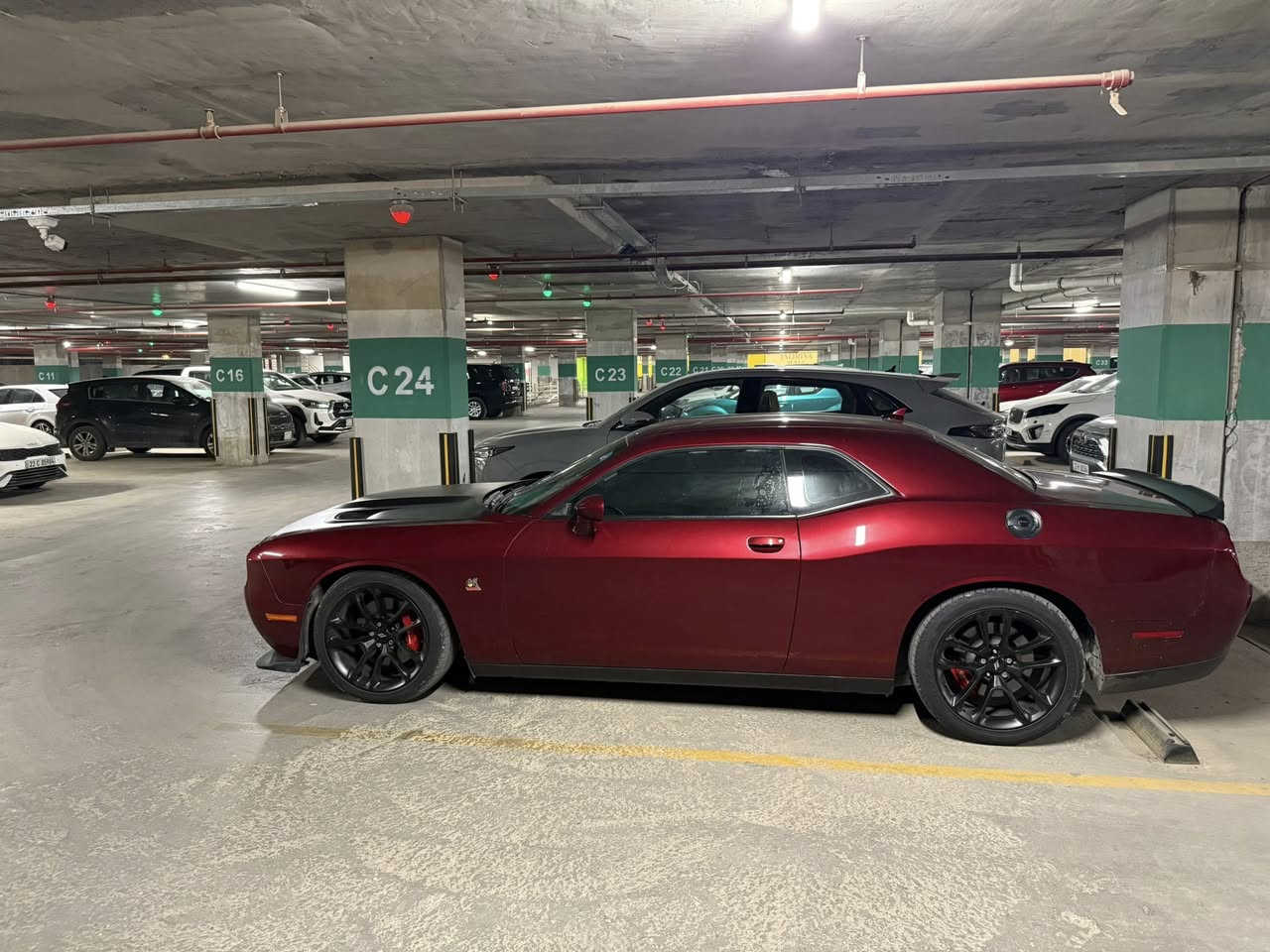 جالنجر سكات باك SRT
الموديل 2022 
مكينة 6.400 SRT
تفاصيل / سيارة جديدة على وضع الشركة 
مكينة وكير واكسل 

السيارة ماشية 22 الف 

اكزوز وحجر بيئة كله عل بلاد 

التفاصيل والمواصفات✅
اكسل قفل 
فجوج بريمبو 
شاشة جبيرة srt مع المودات
شفتات ال srt 
تدفئة كشنات 
تدفئة ستيرن 
تدفئة مري
كراسي كهرباء 
بصمة للسيارة عدد 2 من امريكا اصليات
دبلات صفر مال srt
سستم صوت alpine 
كراسي حضن 

الضرر ❌ جاملغ خلفي وجاملغ امامي وبنيد والباب بيها جوة اليدة شي كلش بسيط صبغ فقط جوة يدة الباب 
الضرر كله سطحي بدون قطرة دواخل  السيارة بجمها ممفتوح بس الدعامية يعني راديترات وغاز تبريد وكلشي يخص البجم ممفتوح على وضع الشركة

السعر 24,800

مكان السيارة بغداد 

***********
