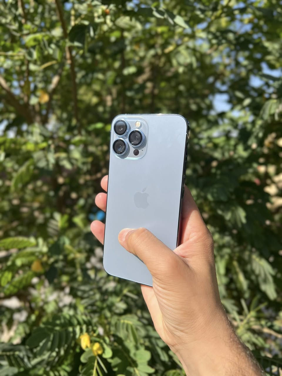 iPhone 13 Pro Max
ايفون 13 برو ماكس وتر بروف 
الك حق الفحص بكل العراق حصراً 
نضافه عاليه جدا 100‎%‎ 
بطاريه 89‎%بلاديه 
ذاكره 256 
نموذج M الاصلي
ملحقات الجهاز : كارتون ، كفر ، لاصق زيتي ، عدسات الياقوت
الموقع 📍: النجف الاشرف


**إذا كنت صاحب هذا الإعلان وتريد حذفه لأي سبب، رجاءا أرسل رسالة إلى الدعم الفني**