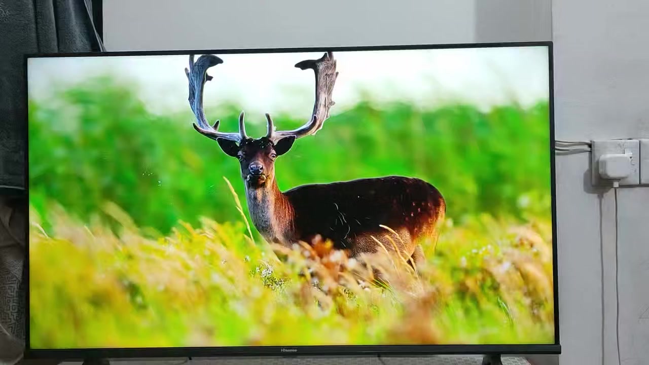 تلفزيون هايسنس Hisense
حجم 43 

نوع A61K

4k 

دولبي اوتمس 

دولبي فجن  60 هيرتز.HDR 

الشاشه استعمال قليل 

السعر 290 الف دينار 

بغداد /الكرادة 

***********
