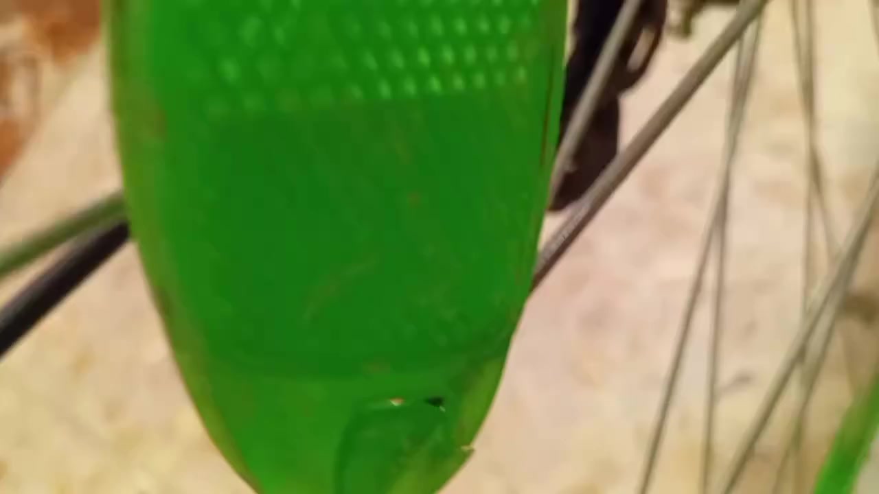 السلام عليكم باسكل البيع مديل 2025 السعر 140 وبي مجال الشراي يجي خاص وبي خير ويدلل ♥️♥️


**إذا كنت صاحب هذا الإعلان وتريد حذفه لأي سبب، رجاءا أرسل رسالة إلى الدعم الفني**