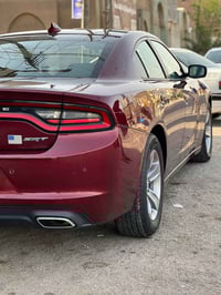 فول مواصفات • ٢٠١٧ • رقم بغداد