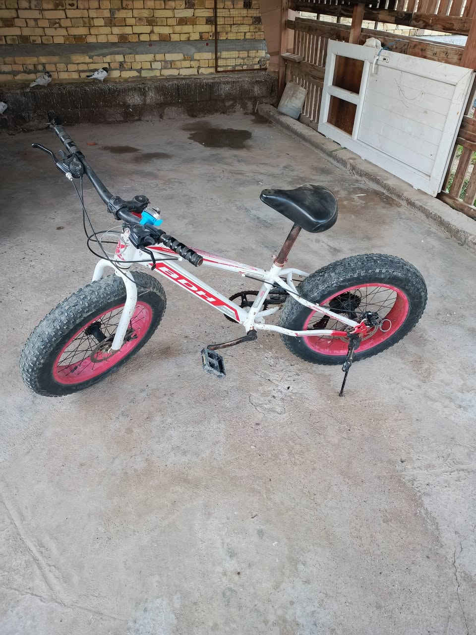 سلام عليكم باسكل للبيع سعر ١٠٠الف وبي مجال المكان رفاعي ***********
