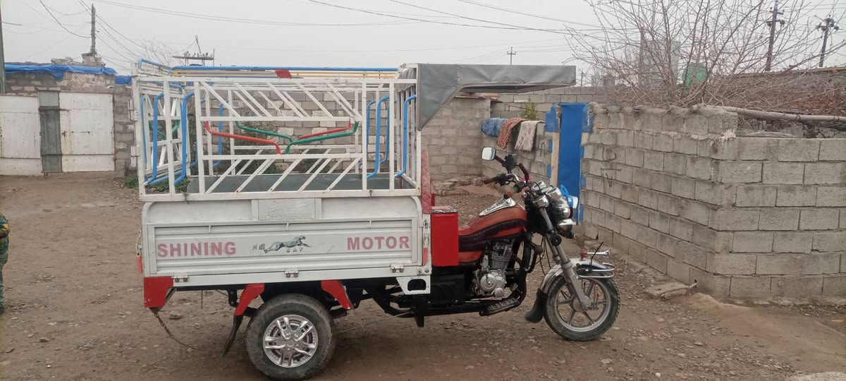 چنچ ستوته للبيع السعر 150 وبي مجال مكان كركوك رقم ***********
