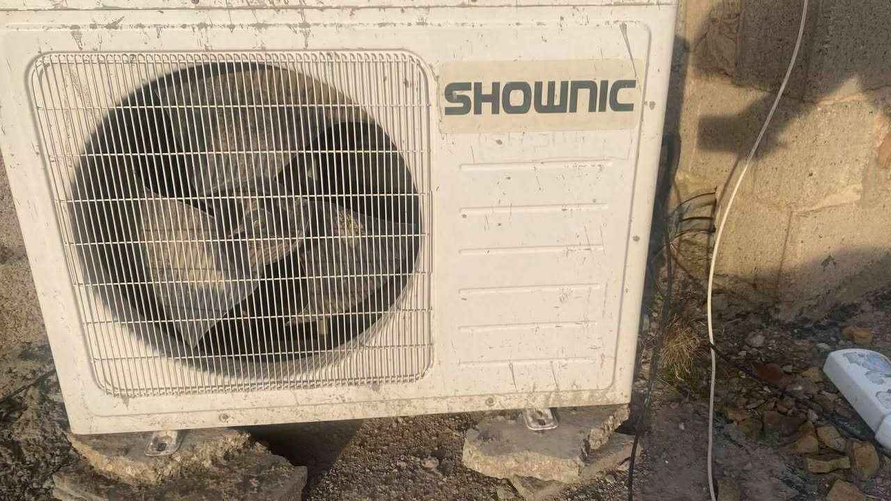 في الرمادي.. التاميم 
سبلت شغال 2طن السعر 350


**إذا كنت صاحب هذا الإعلان وتريد حذفه لأي سبب، رجاءا أرسل رسالة إلى الدعم الفني**