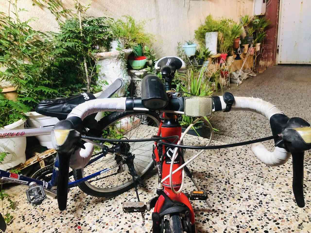 للبيع ROOD BIKE CANOVER🚴 سنة الصنع— 2020/2021
اللون :- احمر مميز🔴

الحجم:-27

النظافة :- 90/100

فولل مواصفاات🚴🔥🔥🔥

المواصفات:- كير من ماركة شيمانو اصل امامي.2نمرة -خلفي.7نمرة—نوع الكير ويه البريك 
نوع البريكات اصل شيمانو + طخم تاير جديد اصلي+ طخم جوب اصلي جديد …بي بعد هواي تفاصيل ماذاكرها 

العنوان:الموصل📍

للتواصل خاص …..او عن طريق رقم الهاتف

***********
