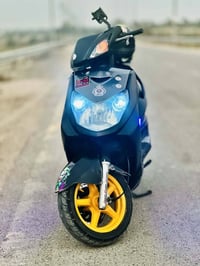 سكنس فحل • نوزل • كامله