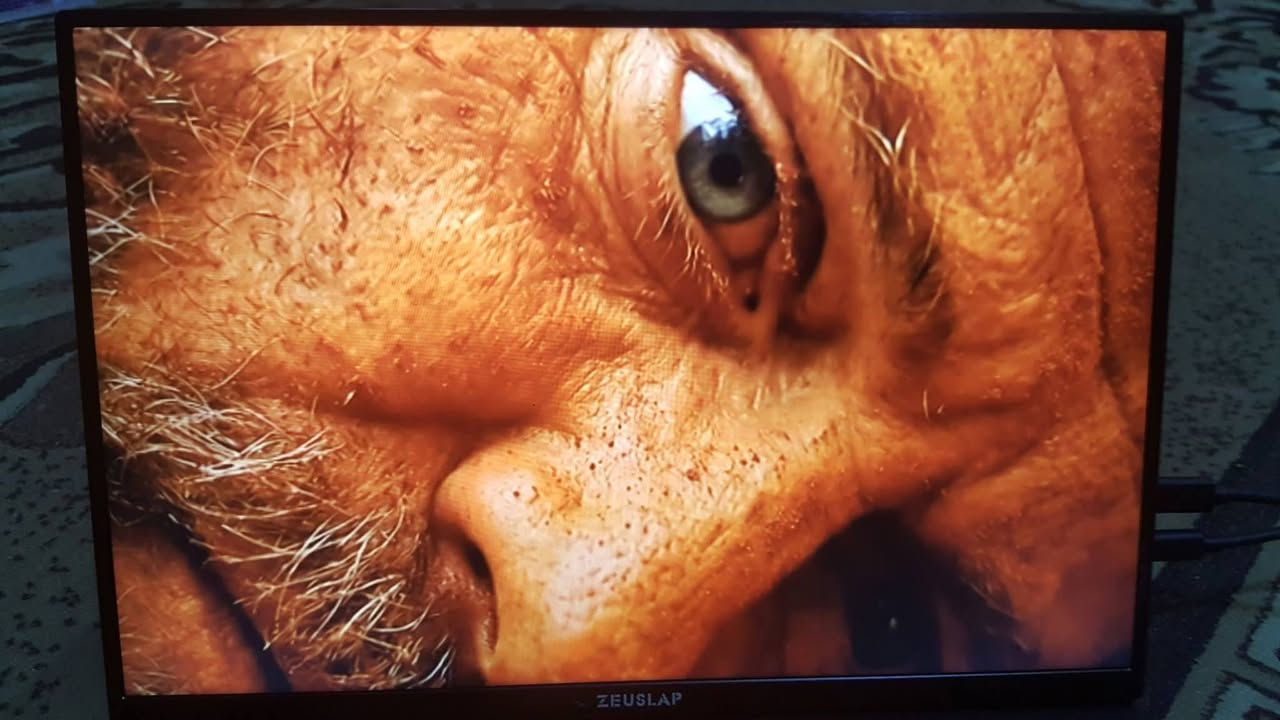 السلام عليكم شاشة لمس محمولة جديدة 16 انج ماركة ZEUSLAP  P16T السعر والتفاصيل خاص متوفر توصيل


**إذا كنت صاحب هذا الإعلان وتريد حذفه لأي سبب، رجاءا أرسل رسالة إلى الدعم الفني**