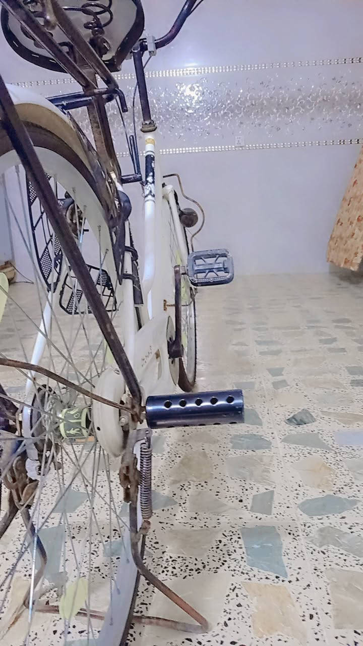 كل للبيع سعر بناتي 26 موديل 17 ما ناقصه شيء يريد يجيني خاص سعر 70


**إذا كنت صاحب هذا الإعلان وتريد حذفه لأي سبب، رجاءا أرسل رسالة إلى الدعم الفني**