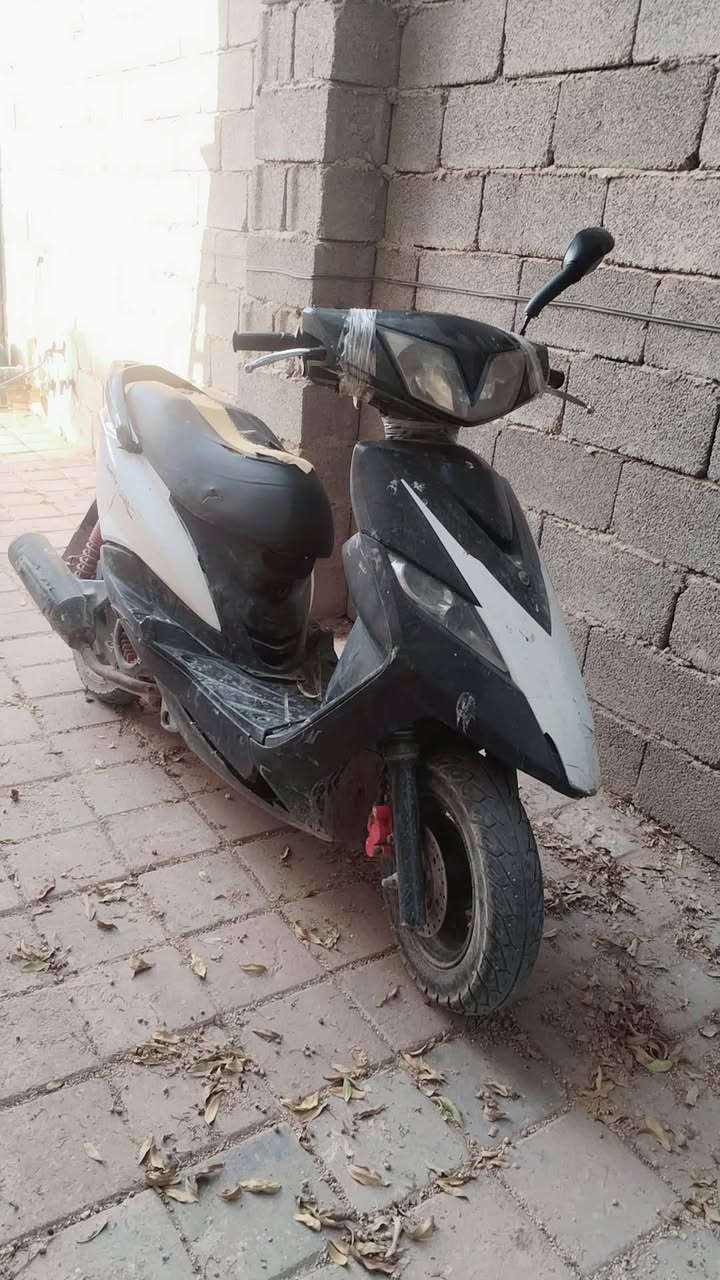 دراجه ثعلب مجفته تجفيت جديد 

العنوان مدينه الصدر الحمديه 

سعر 200وبيه مجال. 

***********
