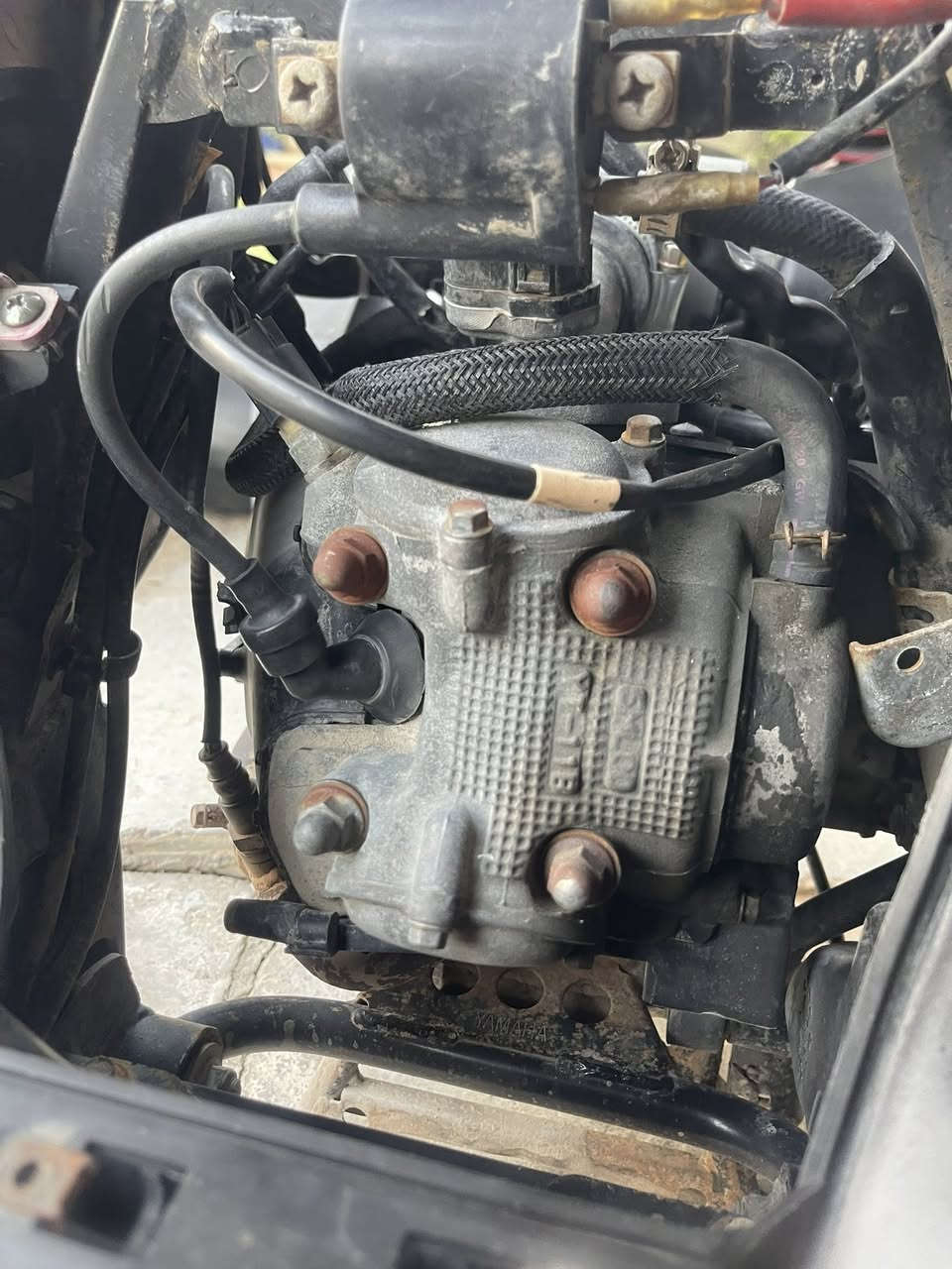 للبيع كلش نضيفه فقط البجم الته بي شخوط بصيطه دراجه كفاله عامه من كلشي مكاني بغداد جسر ديالى سعر 850 بيه مجال حك الجيه رقمي بي وتساب والخاص مفتوح ***********
