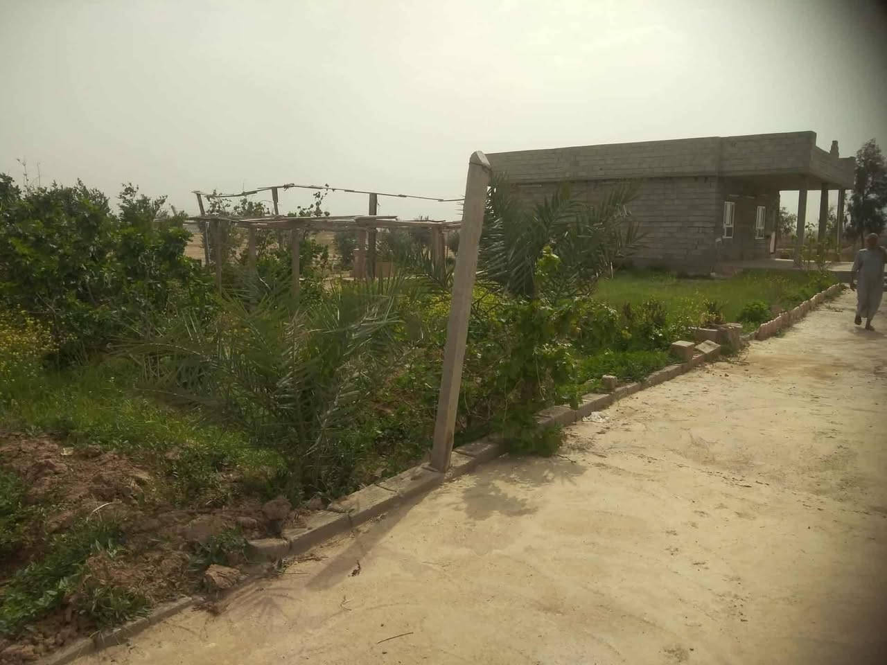 سلام عليكم مزرعة البيع مساحه دونم مكان كركوك قرب جسر كوباني
المزرعة تتكون من بيت مساحه 200 مع بستان +بير ارتوازي + اشجار مثمره من عنب +رمان +تين +مشمش
+زيتون/سعر 55 او بي مجال اي استفسار اتصل ***********
***********
ابومصطفى الحمداني
