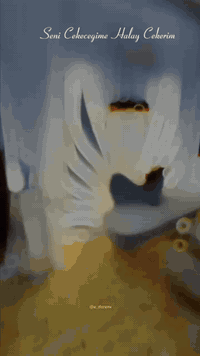 احجز ولتخلي العرض يفوتك بأنسب 💌🤍الأسعار 😍
📢📢انفتحت الحجوزات اسعار 💕🤍تنافسية جداً 📢
😘🤍ايجار الكوشه مع اجور النقل والنصب حسب الكوشة
التوصيل لمحافظه ديالى🍊 فقط🥰🤍💐🌹💐
للطلب او الإستفسار يرجى التواصل🤍 على الواتساب - او الاتصال  🤍💖***********♥️
اهلا وسهلا بالجميع ..🤍🔗
