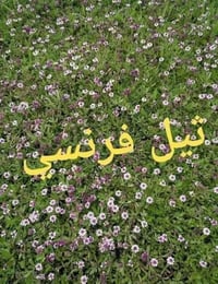 🍀متوفر كافة انواع الثيل🍀  الثيل امريكي والهندي والايطالي والفرنسي كادر...