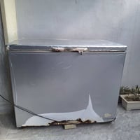 براد • شغال • تجميد فول