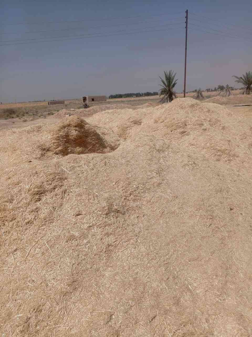 يوجد لدينا تبن درجه اولى الاستفسار على الرقم ***********.       ‏‪***********‬‏
