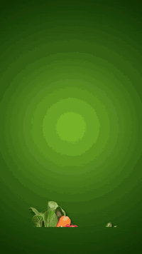 خضروات طازجة • توصيل يومي • عنبر